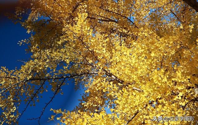 如何选择uv镜，怎么选择uv镜（CPL偏光镜、ND减光镜、UV镜如何选）