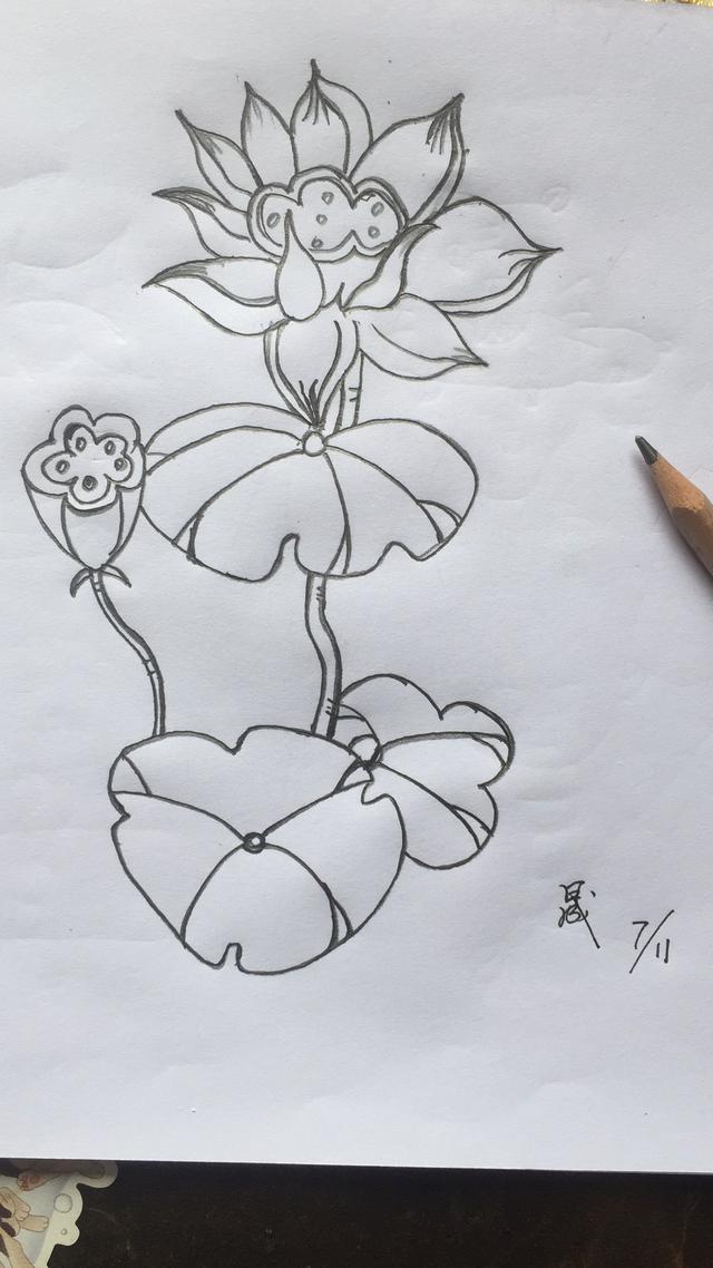 简笔画入门10张，一组零基础学员荷花简笔画作品