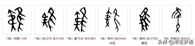 鸟字旁的字有哪些，寸加偏旁组成新字（三分钟了解华夏先民与的故事）