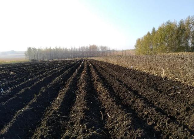 植被类型分布图（分布在亚洲、欧洲和北美洲的中纬度地区）