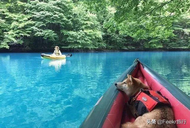 怎样做网红温泉馒头好吃，怎样做网红温泉馒头好吃呢（还有开在桃花丛里的小火车）