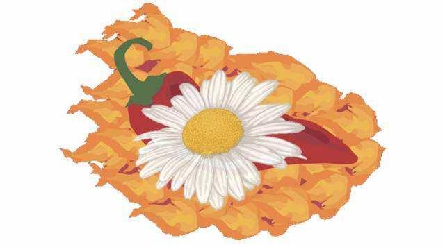 火锅底料有哪些，海底捞火锅底料有哪些（你准备好流口水了吗）