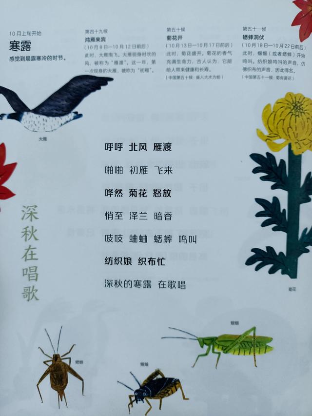 四季是按什么划分的，四季是如何划分（一年四季二十四节气）