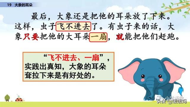 慢慢拼音怎么读，慢慢拼音（二年级下册语文课文19《大象的耳朵》图文详解及同步练习）