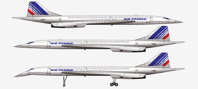 法国航空4590号班机空难，世界十大空难之谜（法航AF4590航班7.25班戈内斯空难）