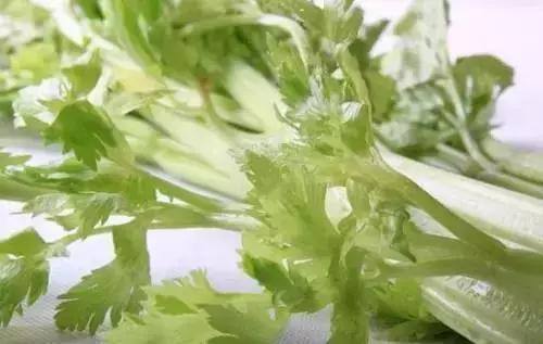 西兰花的茎能吃吗，西兰花的杆子可以吃吗（被扔掉的8种食物“边角料”）