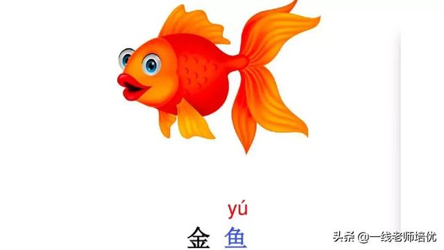 音序是什么?音节又是什么，音序是什么（小学汉语拼音——整体认读音节）
