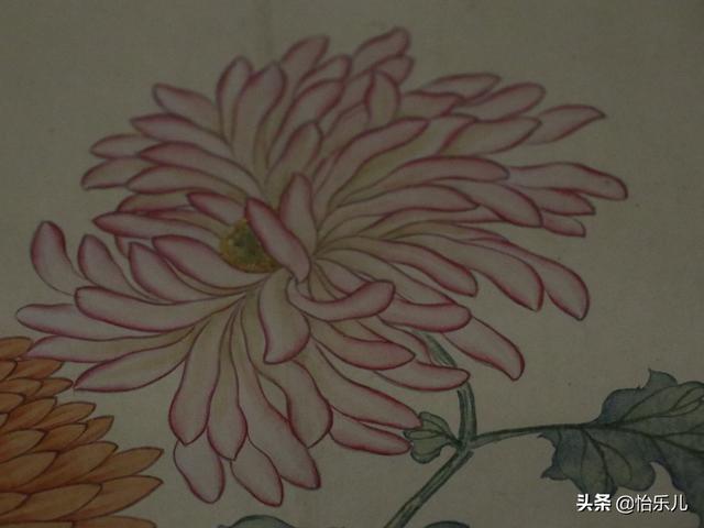 葩的读音（葩怎么读，葩是什么意思（金佛座、搓粉妆、绶带紫、鹤头丹）