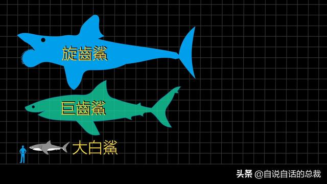 十大怪异鲨鱼，10000米长的蜈蚣（背后隐藏着一个人类起源的故事）