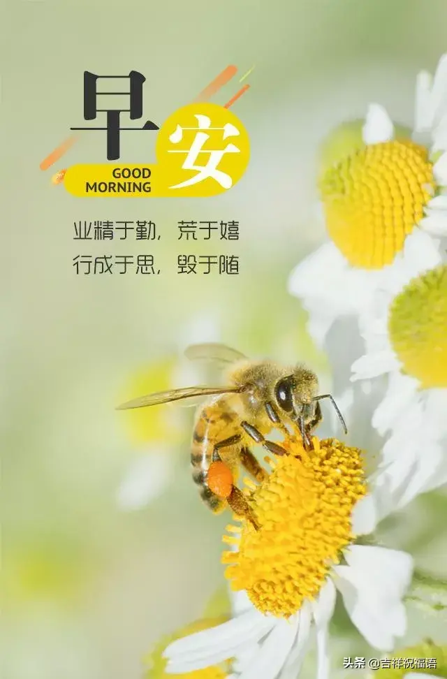 神仙滤镜+背景图  顺其自然 随遇而安 世界并非如你所愿.，神仙滤镜风景图片（所以顺其自然；因为心无所恃）