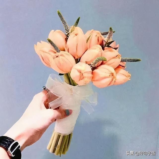 打动人心的爱情句子，打动人心的爱情句子长句（打动人心的爱情句子）
