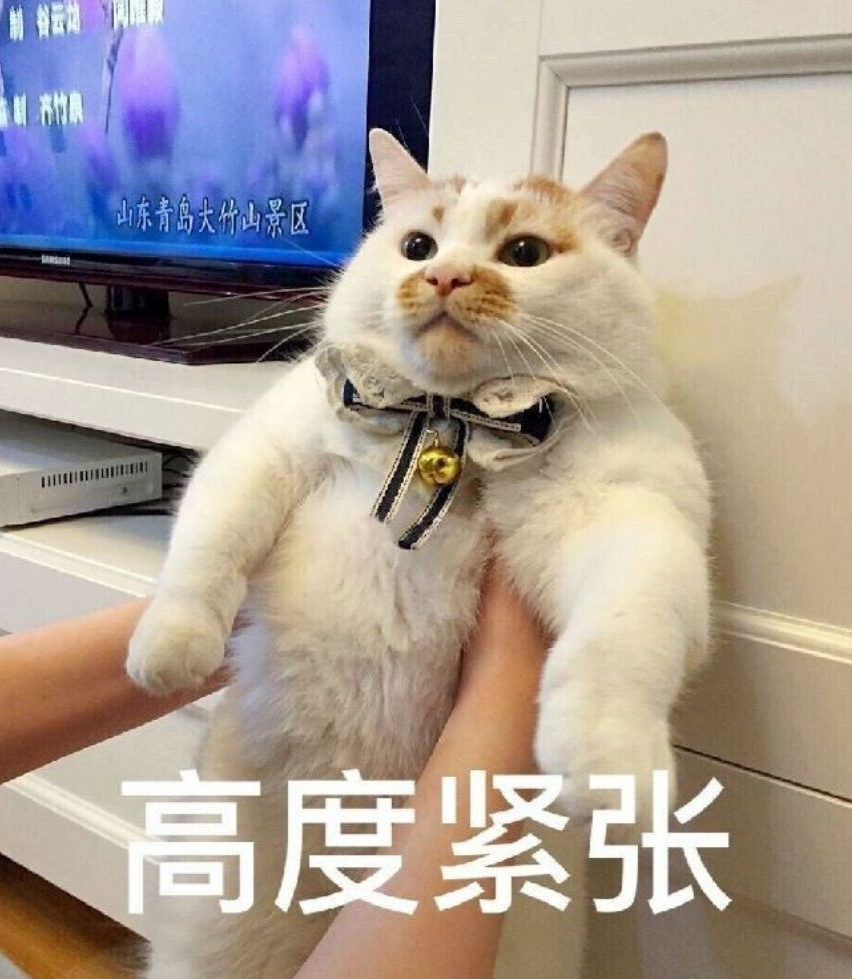 洗猫多少 洗个猫咪大概多少钱