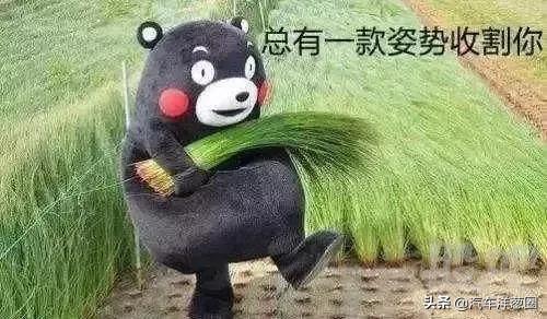 克鲁泽为什么骂声一片,科鲁泽为什么便宜(大众“特供车”究竟有何不同) 克鲁泽为什么骂声一片,科鲁泽为什么便宜(大众“特供车”究竟有何不同)