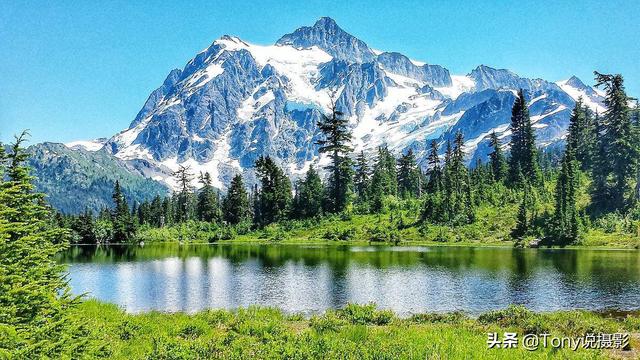 入门单反相机选哪款好，购机推荐：新手挑选单反相机