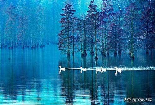 南京景点介绍，南京一日游必去景点推荐（南京九个不得不去的小众景点）