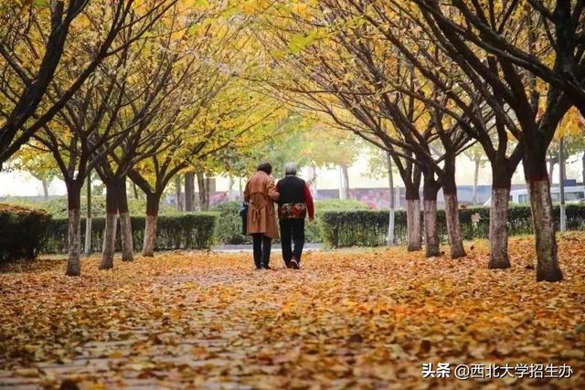 灯谜大全及答案超难，超难灯谜大全及答案（这6个\