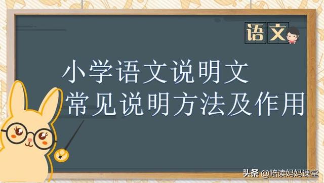 有什么说明方法，说明方法都有什么（小学语文说明文常见的说明方法及作用）