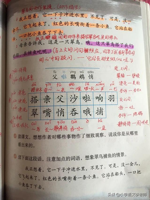 鹦怎么组词，鹦组词（鹦怎么组词（三年级语文上册《搭船的鸟》课文详解）