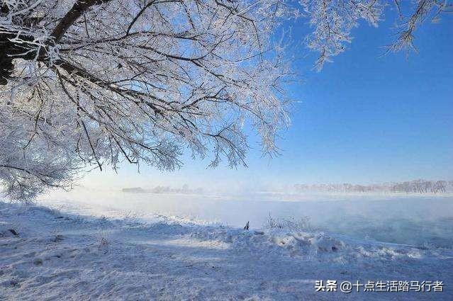 吉林雾凇景色奇特三九严寒，冰天雪地中的美景——吉林雾凇