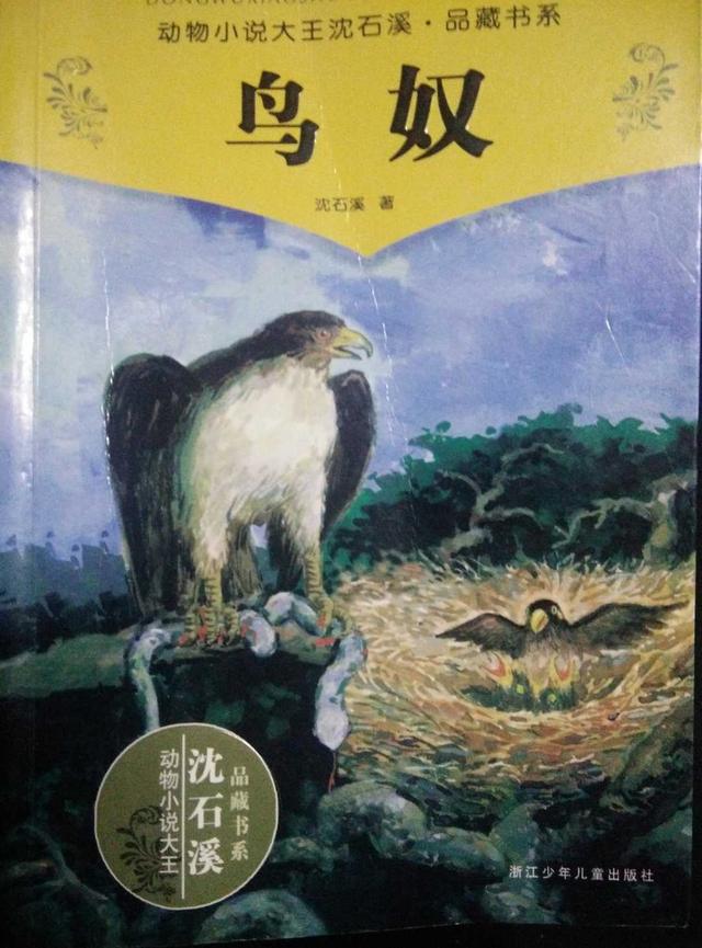 鸟奴好词好句好段，鸟奴好词好句好段摘抄（《鸟奴》：看的是鸟，说的是人）
