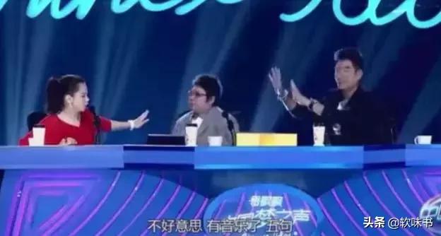 还音是什么意思，唱歌还音是什么意思（和打压新歌手的韩红）