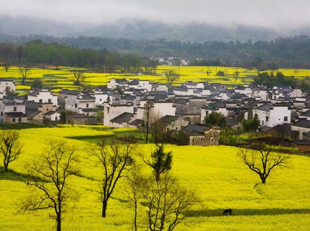 宏村在哪里，安徽宏村在哪里（宏村、西递等旅游景区恢复开放）