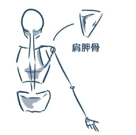 画人全身怎么画简单，超详细的身体绘制画法教程（画人全身怎么画简单古风）