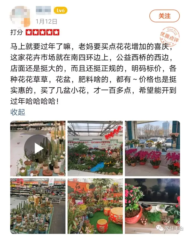 北京四大花市，丰台四大花市逛买攻略