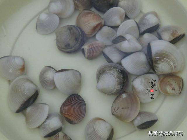 白蛤怎么做好吃，白蛤的做法（无论是做花甲还是白蛤）