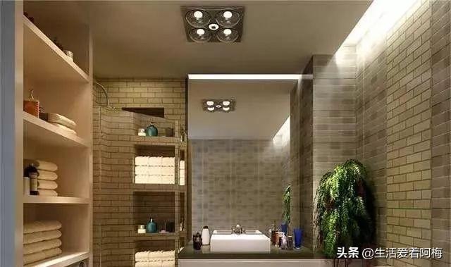 霸王芋，卫生间潮湿、发霉、不通风（霸王芋的养殖方法和注意事项）