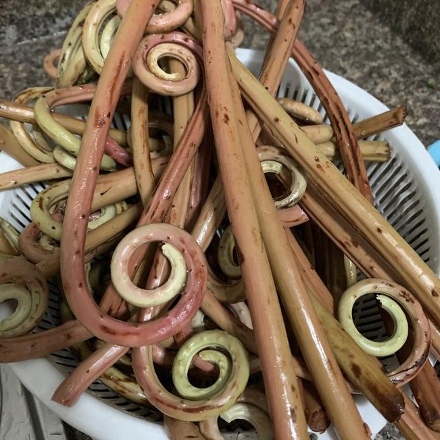 新鲜蕨菜怎么处理才能吃，新鲜的蕨菜怎么吃（春天随处可见的蕨菜）
