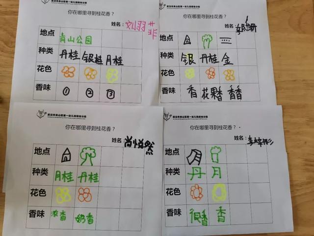 关于桂花的资料，桂花的资料（满园飘逸桂花香）