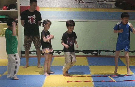 散打和自由搏击哪个更实用，自由搏击和散打哪个杀伤力大（搏击、武术、散打、跆拳道）