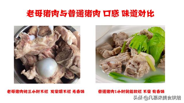 什么是母猪肉，猪肉都是母猪吗（猪肉各部位图解与介绍）
