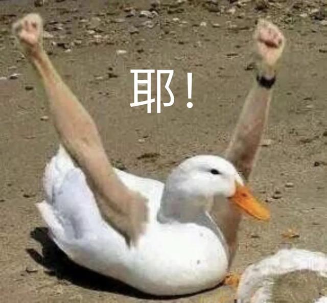 美团被罚34.42亿后续,美团被罚34.42亿 美团被罚34.42亿后续,美团被罚34.42亿