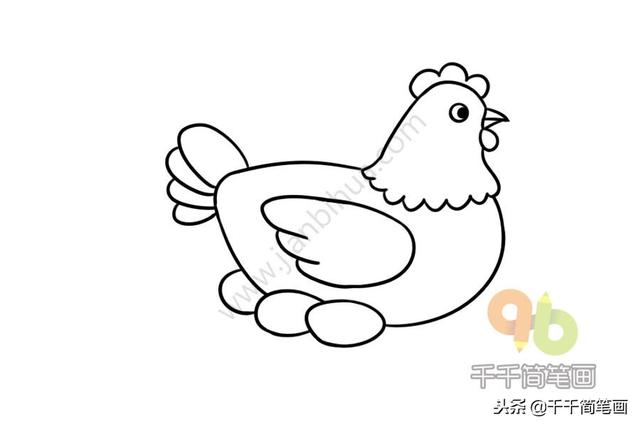 公鸡母鸡简笔画，公鸡母鸡简笔画彩色（一分钟学会画大公鸡和大母鸡）