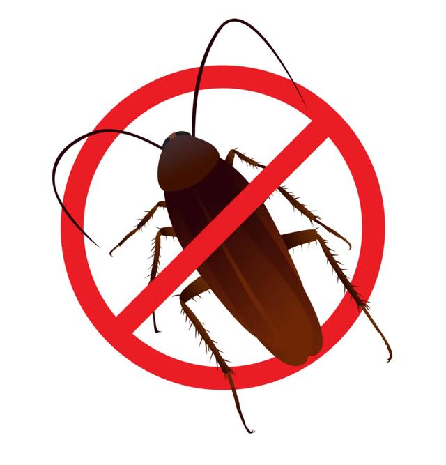 为什么有的蟑螂会飞有的不会,为啥有的蟑螂会飞(北方人永远不知道) 为什么有的蟑螂会飞有的不会,为啥有的蟑螂会飞(北方人永远不知道)