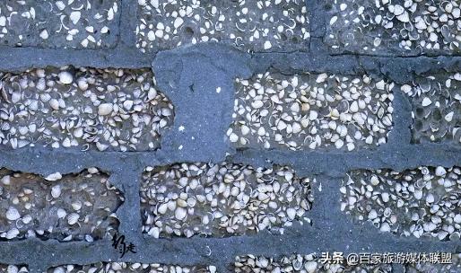 的贝壳填空，什么的贝壳填空（900年用了300万吨贝壳堆起的岛屿）