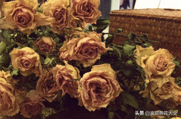 鲜花保鲜的方法，鲜花怎么保鲜（鲜花保存有技巧）