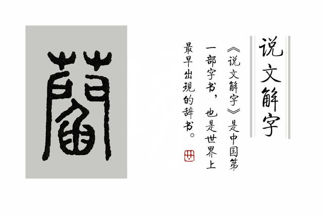 《说文解字》第69课：荷、莲、茄、芙蕖、芙蓉、菡萏是一种东西吗