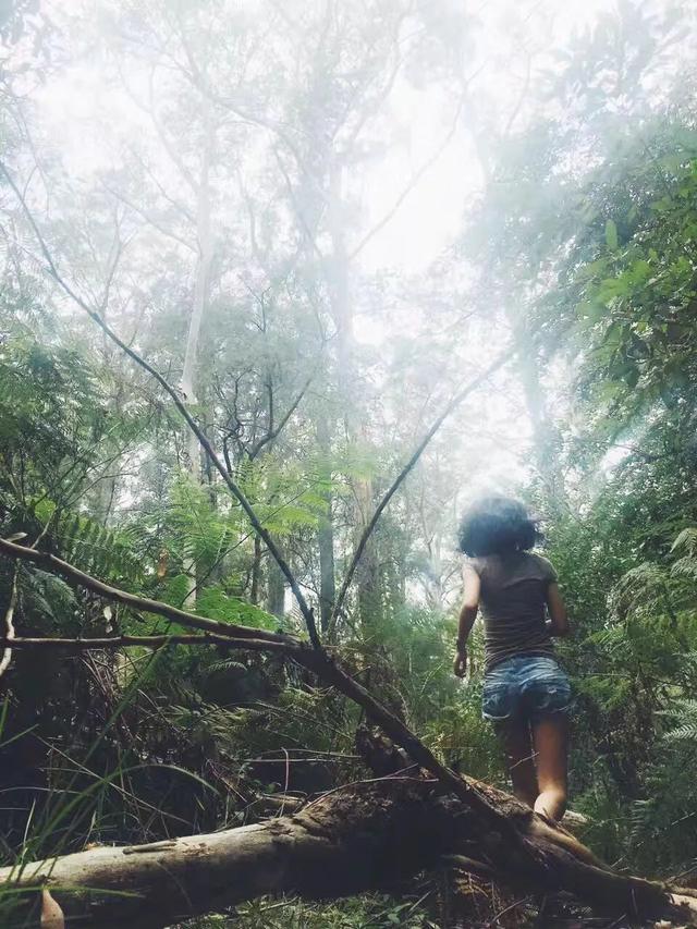 花店名字唯美浪漫取名，优雅浪漫的花店名字（“我在兰州开家花店）