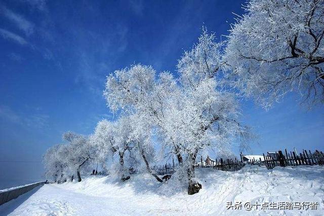 吉林雾凇景色奇特三九严寒，冰天雪地中的美景——吉林雾凇