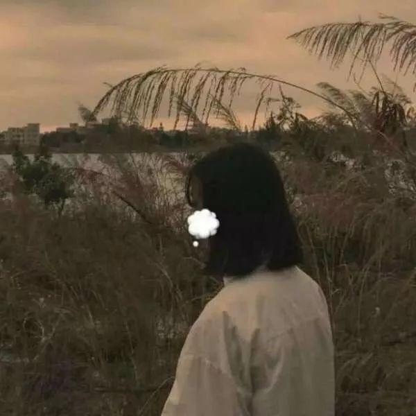 动漫帅哥美女图片，帅哥美女杂图（图王鲨鱼哥第33期33套微信头像加背景图）