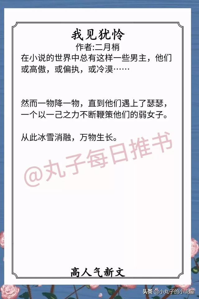 极品纨绔左妻右妾，官二代类的小说官越大越好（《兄宠》《丑妾》《小公爷打脸日常》超赞）