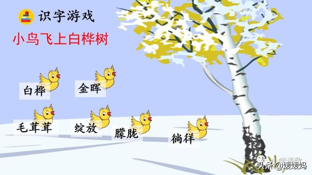 悠扬的近义词，“悠扬”的近义词是什么（四年级下册语文第11课《白桦》图文详解及同步练习）