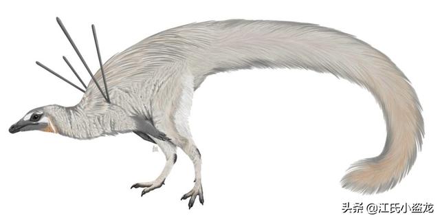 re网名的含义，Re微信昵称（2020古生物学家到底命名了多少种恐龙）