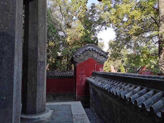 孔子的老家在哪里，孔子的家在哪里（孔子故里 东方圣城—曲阜）