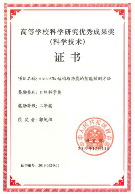 metropolis准则，非数值信息编码的主要特征（土木工程学科：郭茂祖）