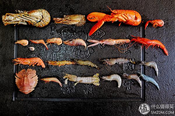 虾有多少品种，淡水虾有哪些品种（虾类双11购买攻略富山虾）