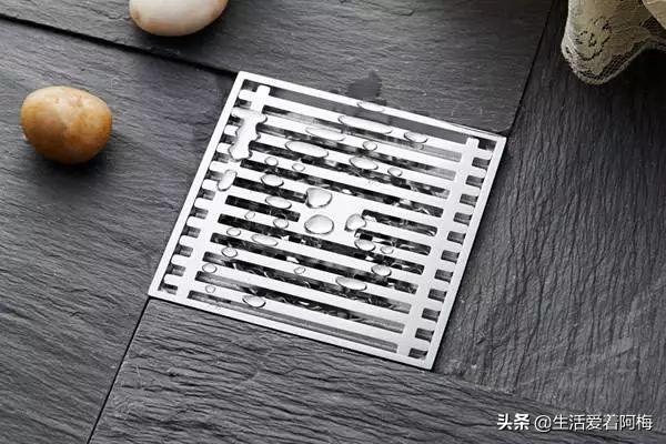 霸王芋，卫生间潮湿、发霉、不通风（霸王芋的养殖方法和注意事项）